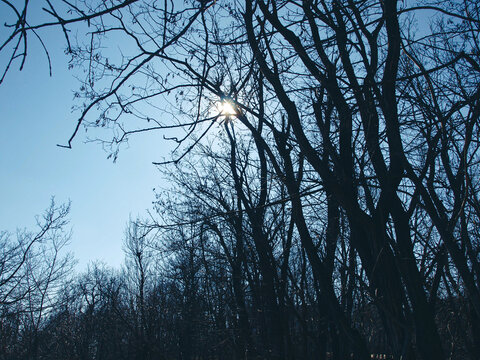 Sun and Shadows in Blue