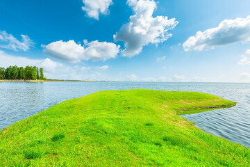 Naklejka premium Green grass and river natural landscape.