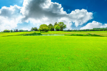 Green grass and trees in spring season.
