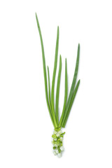 Chopped green onion isolated on white background