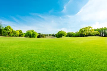 Fotobehang Slaapkamer Groen gras en bos in het voorjaar.  © ABCDstock
