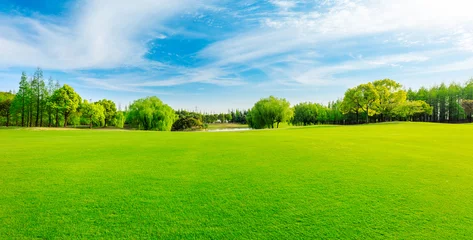 Foto auf Glas Grünes Gras und Wald im Frühjahr. © ABCDstock