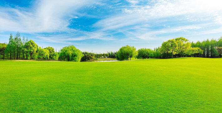 Green grass and forest in spring season.