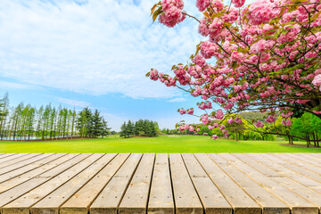 Wooden display platform and blooming flowers with green grass.