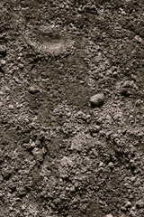 Black Dark Soil Dirt Backdprop Texture, Natural Pattern. Flat Top View. Agricultural Earth Background. Black Dark Soil Dirt Backdprop Texture, Natural Pattern. Flat Top View. Agricultural Earth