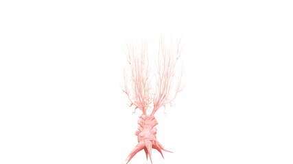 an artistic tree