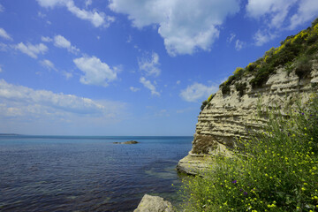 Arge rocks and seaweed on the sandy coast of the sea, on a cloudy morningKaraburun İstanbul.