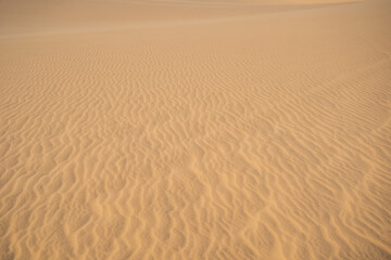 Desert - Global Warming. Huge dunes of the desert. Fine place for photographers and travelers. Beautiful structures of sandy barkhans