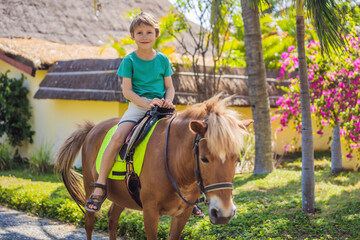 Smiling, young boy ride a pony horse. Horseback riding in a tropical garden