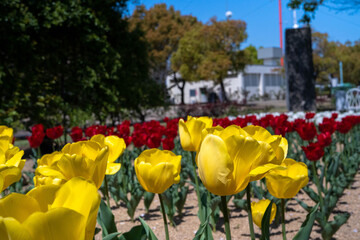 I took a picture in Okayama prefecture, Japan
