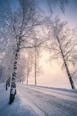 Scenic snow landscape with beautiful sunrise and snowy road at winter morning in Finland - 426588993