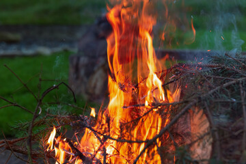 Late evening campfire. Burning bonfire in the evening