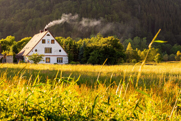 Rural view, a traditional polish country cottage house with smoke from the chimney next to pine forest. Rural cottage in the distance at sunset