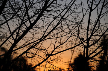 Obraz premium sunset