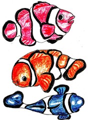 illustration of fish