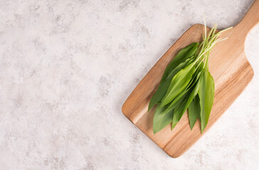 Fresh wild garlic leaves on a textured background