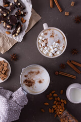 Winter cocoa drink with milk foam and marshmallow in a mug and an aluminum scoop, cinnamon and almonds, cane sugar and star anise, dark chocolate with nuts, top view