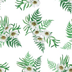 Fototapeta premium Daisies and ferns on a white background. Seamless vector pattern with leaves and flowers.