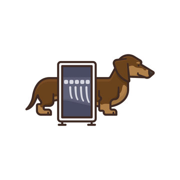 Taking an X-ray image of a Dachshund isolated vector illustration for X-Ray Day on November 8. Medical technology and veterinary medicine concept.