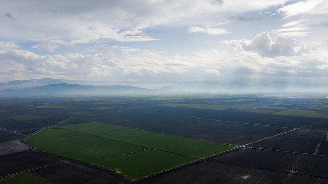 A beautiful panoramic shot of a landscape full of green grass.