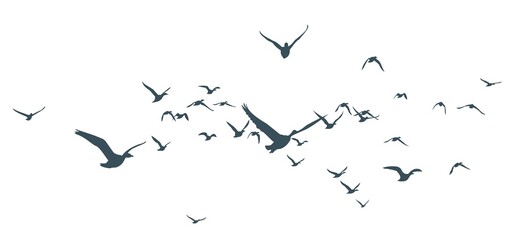 The Siluettes of flight ducks in the sky.