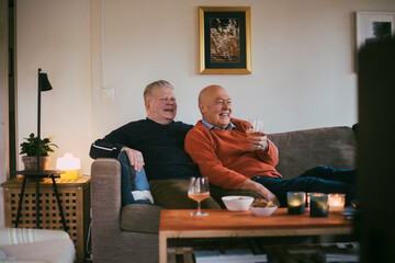 Smiling homosexual couple with wineglass watching television at home