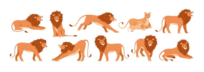 Set of lions, lioness and their cub resting, lying, standing, roaring, sitting and walking. Jungle feline animal in different poses. Colored flat vector illustration isolated on white background © Good Studio