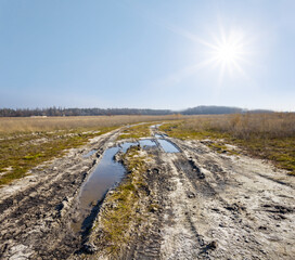 dirty ground road among prairie at the spring sunny day