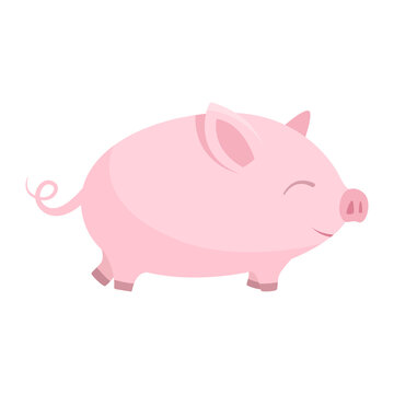 Vector simple isolated illustration on white background. Cartoon picture of a cute baby pink pig or piglet. Design element
