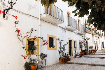 Fototapeta premium View of palm tree and white building against blue sky at the old town of Ibiza, Spain. Travel, mediterranean and vacation concept. Ibiza old town streets. 