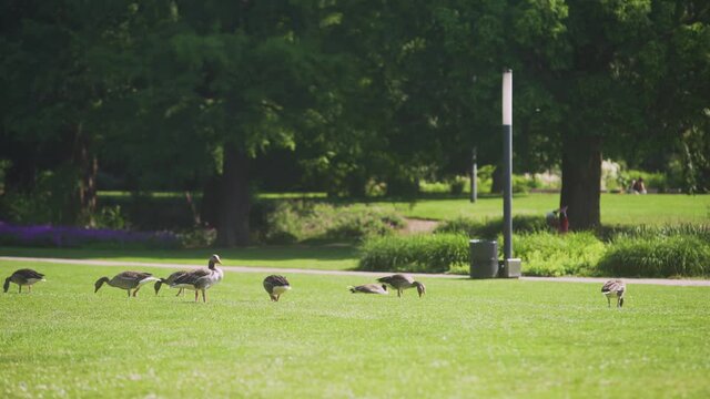 4K Planten un Blomen Hamburg