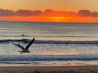 Fototapeta premium sunset on the beach