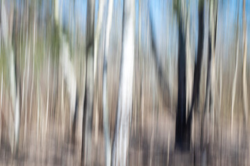 Creative panning long exposure Trees in forest photography