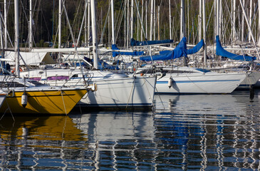 Close-up of a group of moored sail boats in a marina