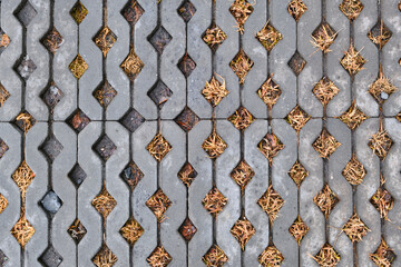 The stone blocks walk path with yellow grass background. Yellow grass growing through square cells of pavement.