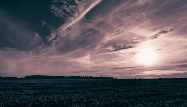 Melancholie im Jenseits auf einem Leeren Feld. D&uuml;stere, einsame Abendstimmung bei Sonnenuntergang auf einem Feld im Sp&auml;tsommer auf einer menschenleeren Wiese.