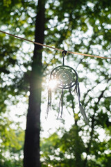 feeder in the forest