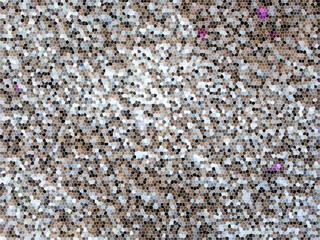 Cat sand photo made with glass texture