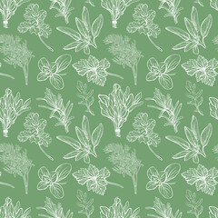 Italian herbs pattern. Mediterranean cuisine.