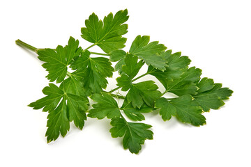 Fresh organic parsley, isolated on a white background