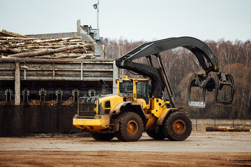 the front loader transports the harvested wood in the factory. industrial transport works in a warehouse. loading of wood raw materials on a conveyor belt at the factory