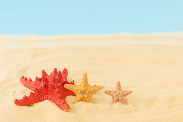 Summer background with three starfishes on the beach