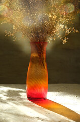 Red orange vase with dried flowers on  neutral background casting shadows . Sun glare and soft focus, Minimal modern interior decoration concept. wabi sabi style aesthetics.