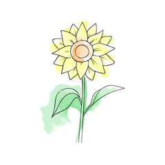 Hand-drawn flower, sunflower. Simple botanical sketch, line, floral drawing, minimalism. Doodle style with imitation watercolor's brush strokes. Isolated on a white background.Vector illustration.