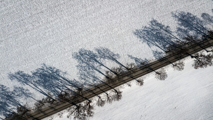 Aerial View Of Abandoned Country Road With Trees