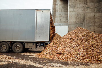 the truck unloads tons of wood waste. sawdust and shavings are stored for further processing. mountain of waste wood