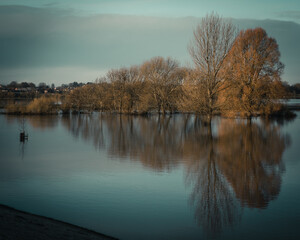 Autumn trees reflected in water