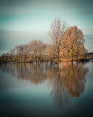 Autumn trees reflected in water