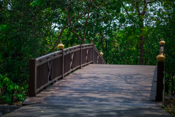 The natural background of the morning light rising in the middle of the sea and surrounded by mountains, cool breezes, the beauty of the ecology of the tourist attractions.
