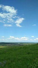 Obraz premium field and blue sky
